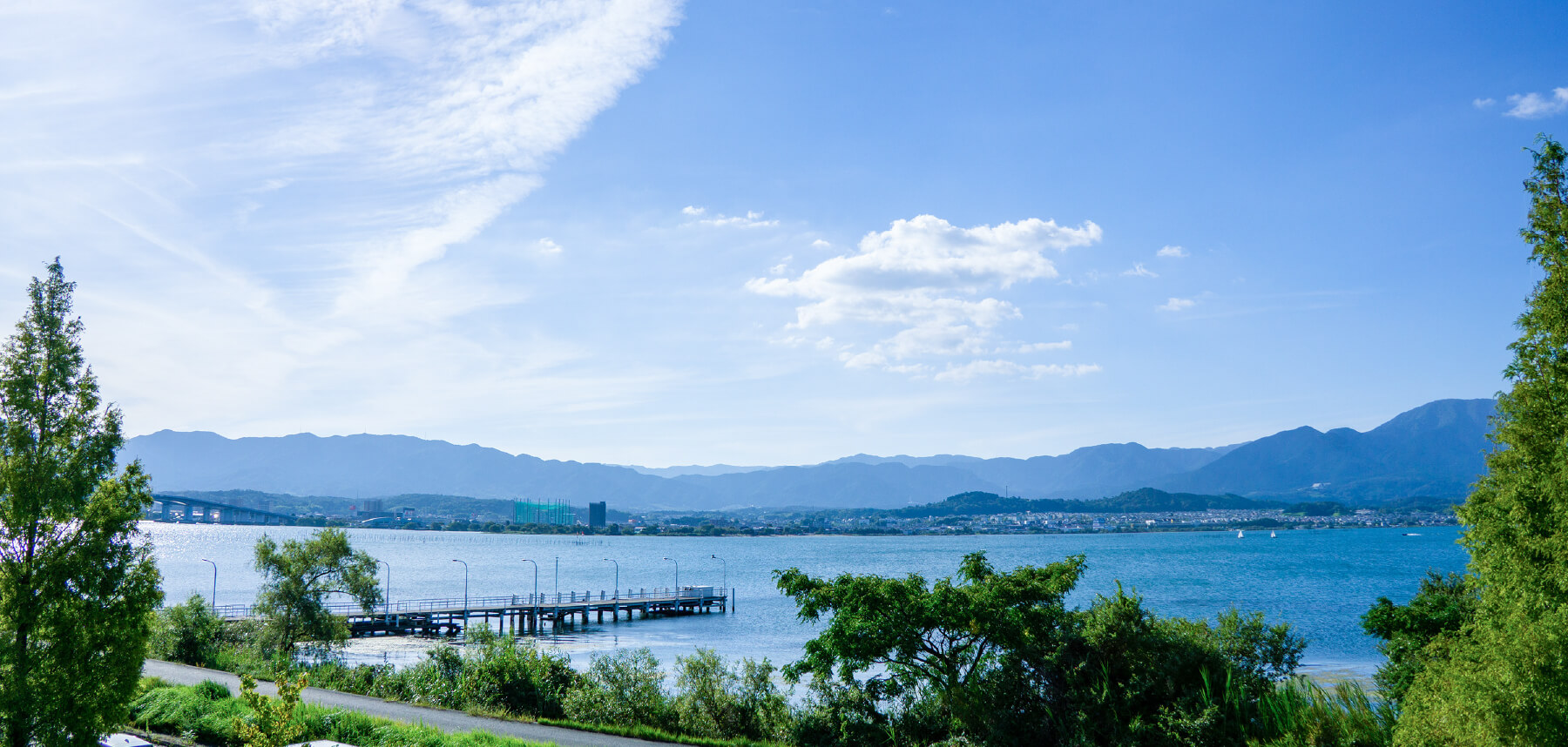 代表メッセージ