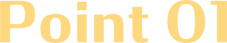 Point 01